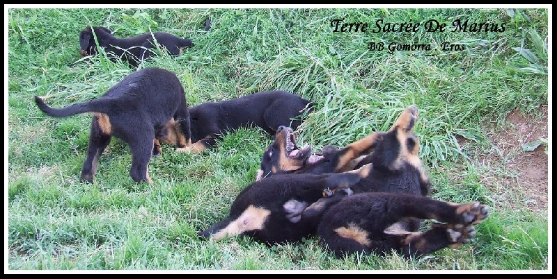 Jaïki De La Terre Sacrée De Marius