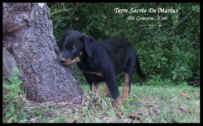 Jaïki De La Terre Sacrée De Marius