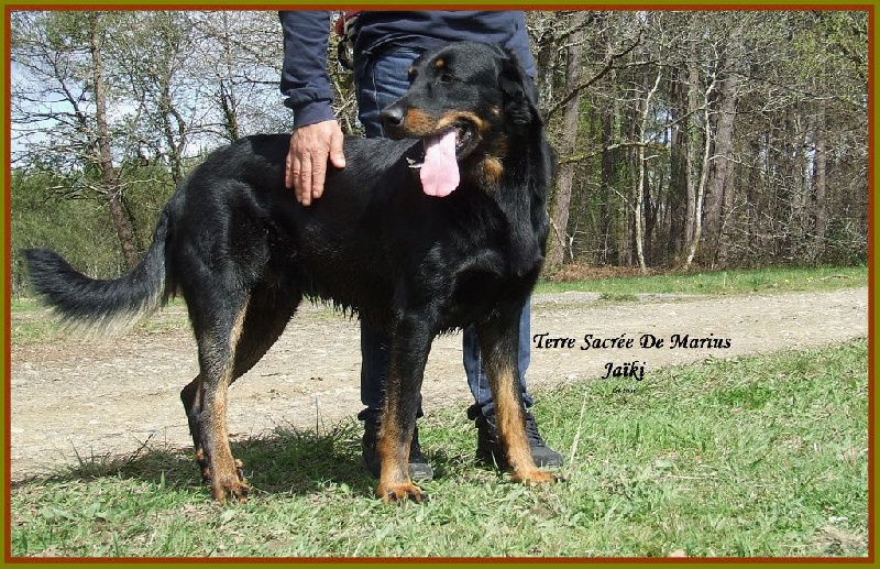 Jaïki De La Terre Sacrée De Marius