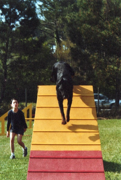 Marius Des loups du coin de la fontaine