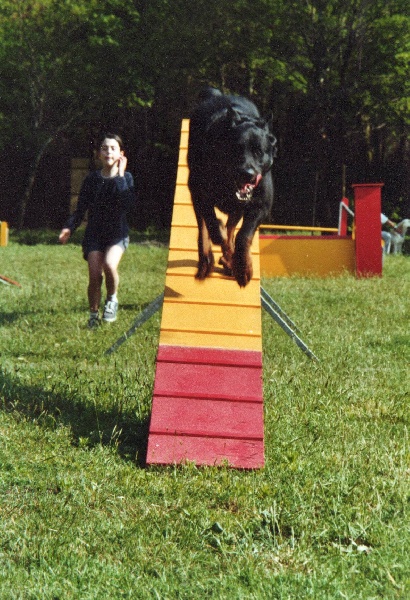 Marius Des loups du coin de la fontaine