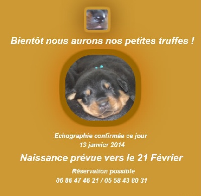 De La Terre Sacrée De Marius - Bientôt des bébés !