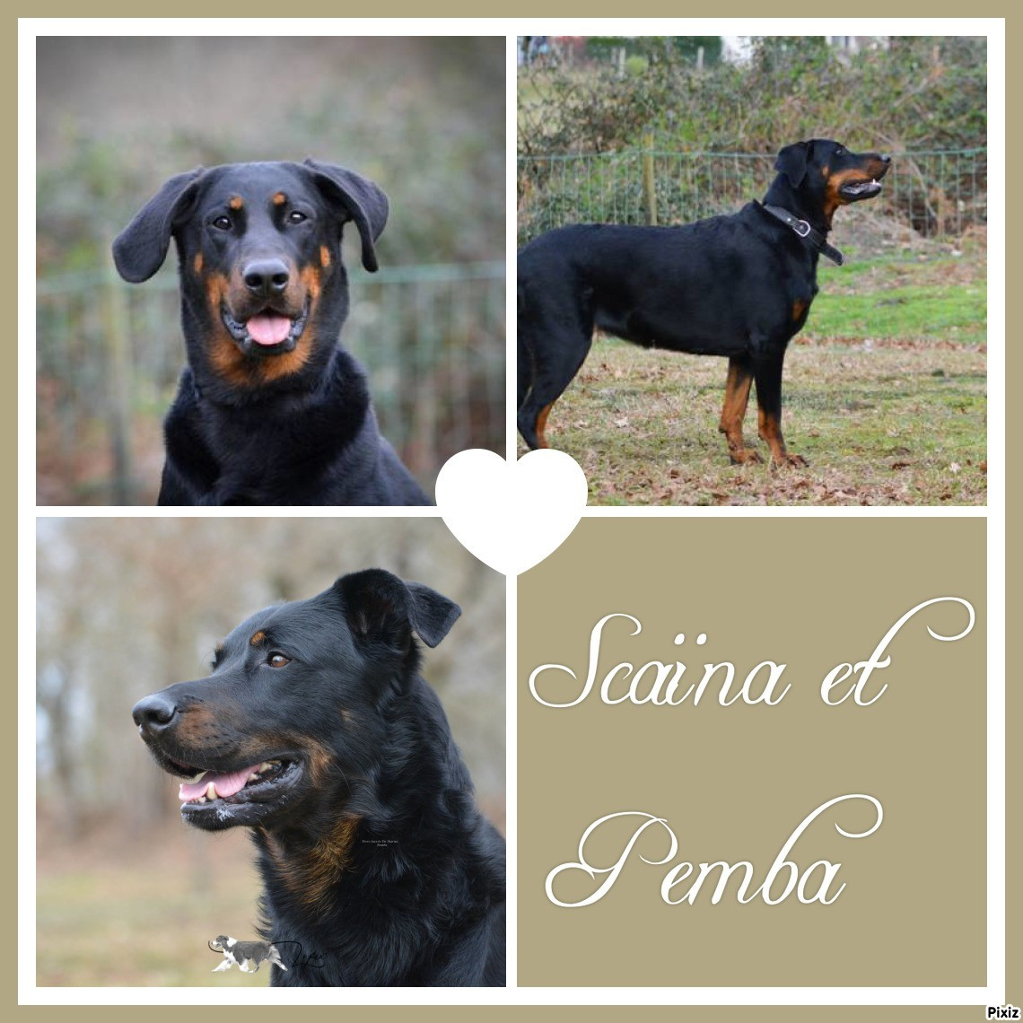 Les enfants de PEMBA et SCAÏNA (04/2024)